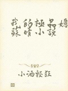 我的极品媳妇儿苏晴小说