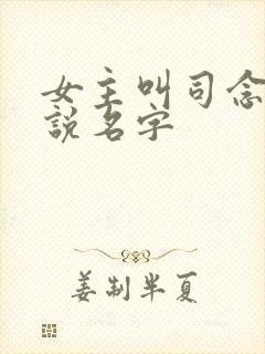 女主叫司念的小说名字