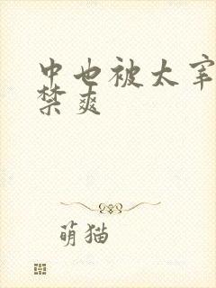 中也被太宰到失禁爽