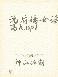 沈府娇女淫史(高h,np)