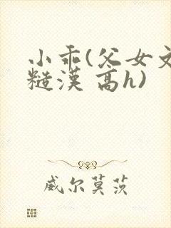 小乖(父女文 糙汉 高h)