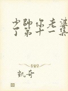 少帅你老婆又跑了第十一集