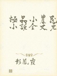 极品小农民项林小说全文免费阅读封面