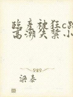 临产被狂c躁到高潮失禁小说