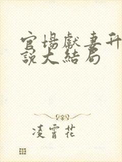 官场献妻升职小说大结局