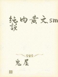 纯肉黄文sm小说