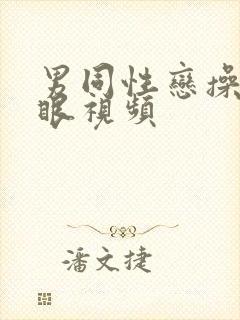 男同性恋操屁股眼视频