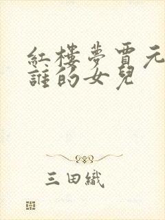 红楼梦贾元春是谁的女儿