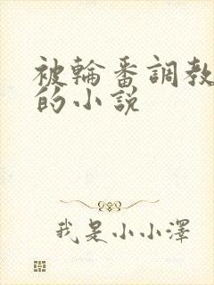 被轮番调教高潮的小说封面