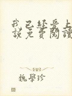 我已经爱上你小说免费阅读封面