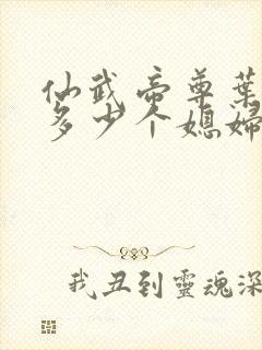 仙武帝尊叶辰有多少个媳妇