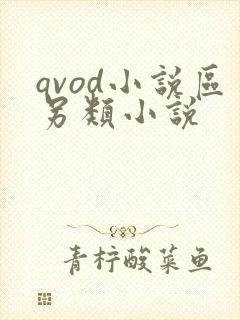 qvod小说区另类小说