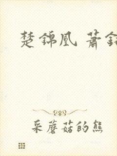 楚锦凰 萧铭恒封面