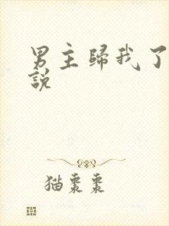 男主归我了 小说