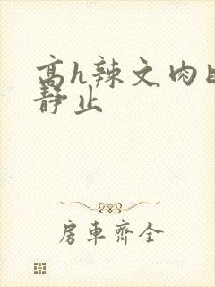 高h辣文肉时间静止封面