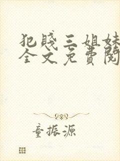 犯贱三姐妹小说全文免费阅读txt封面