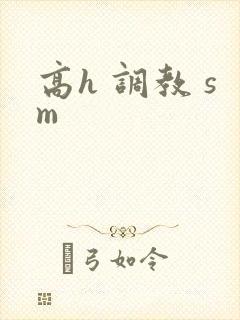 高h 调教 sm