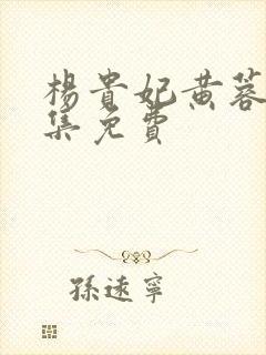 杨贵妃黄蓉版全集免费