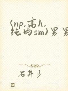 (np,高h,纯肉sm)男男