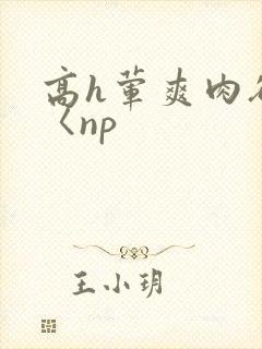 高h荤爽肉欲文〈np