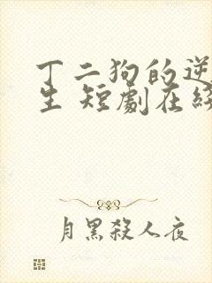 丁二狗的逆袭人生 短剧在线观看