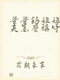 爸爸的姐姐的丈夫怎么称呼