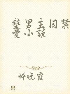 双男主囚禁强制爱小说