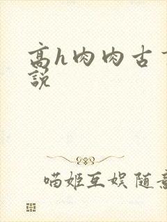 高h肉肉古言小说