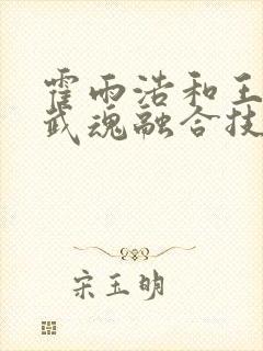 霍雨浩和王冬的武魂融合技