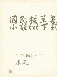 国民校草是女生小说txt下载封面