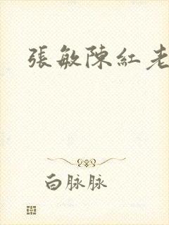 张敏陈红老扒