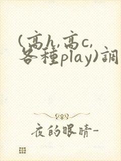 (高h,高c,各种play)调教小说