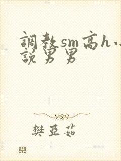 调教sm高h小说男男