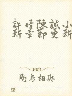 许晴陈诚小说最新章节更新时间封面