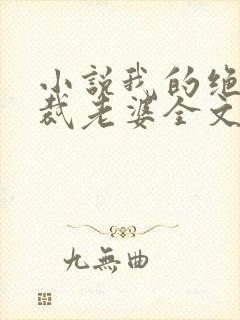 小说我的绝美总裁老婆全文阅读