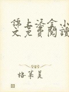 锦上添金小说全文免费阅读封面