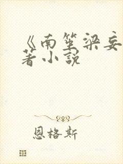 《南笙梁妄》原著小说封面