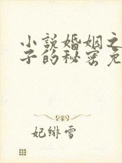 小说婚姻之殇妻子的秘密免费阅读