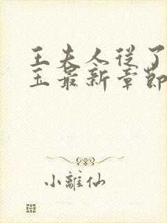 王夫人从了贾宝玉最新章节列表