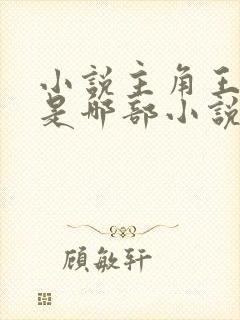 小说主角王斌 是哪部小说