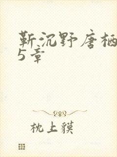 靳沉野唐栖雾25章