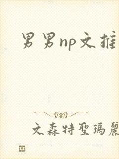 男男np文推荐