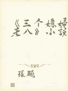 《三个媳妇陈红老八》小说