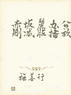 赤坂丽办公室无删减版播放