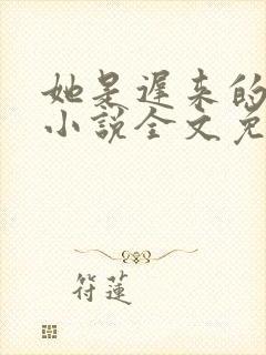 她是迟来的心动小说全文免费阅读