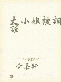 大小姐被调教小说封面