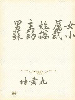 男主姓厉女主姓苏的总裁小说