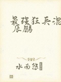 最强狂兵混都市 辰鹏