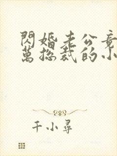 闪婚老公竟是亿万总裁的小说封面