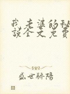 我老婆的秘密小说全文免费阅读